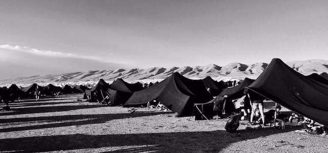 Lessons from the Desert