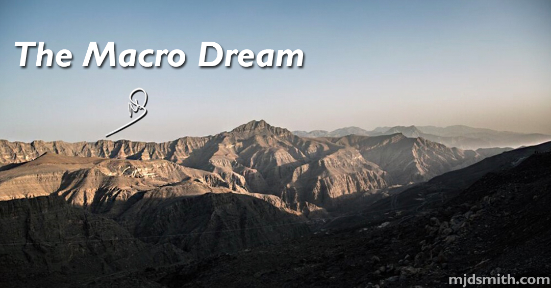 The Macro Dream