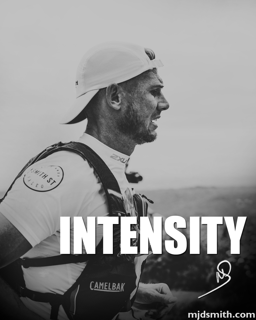 Intensity