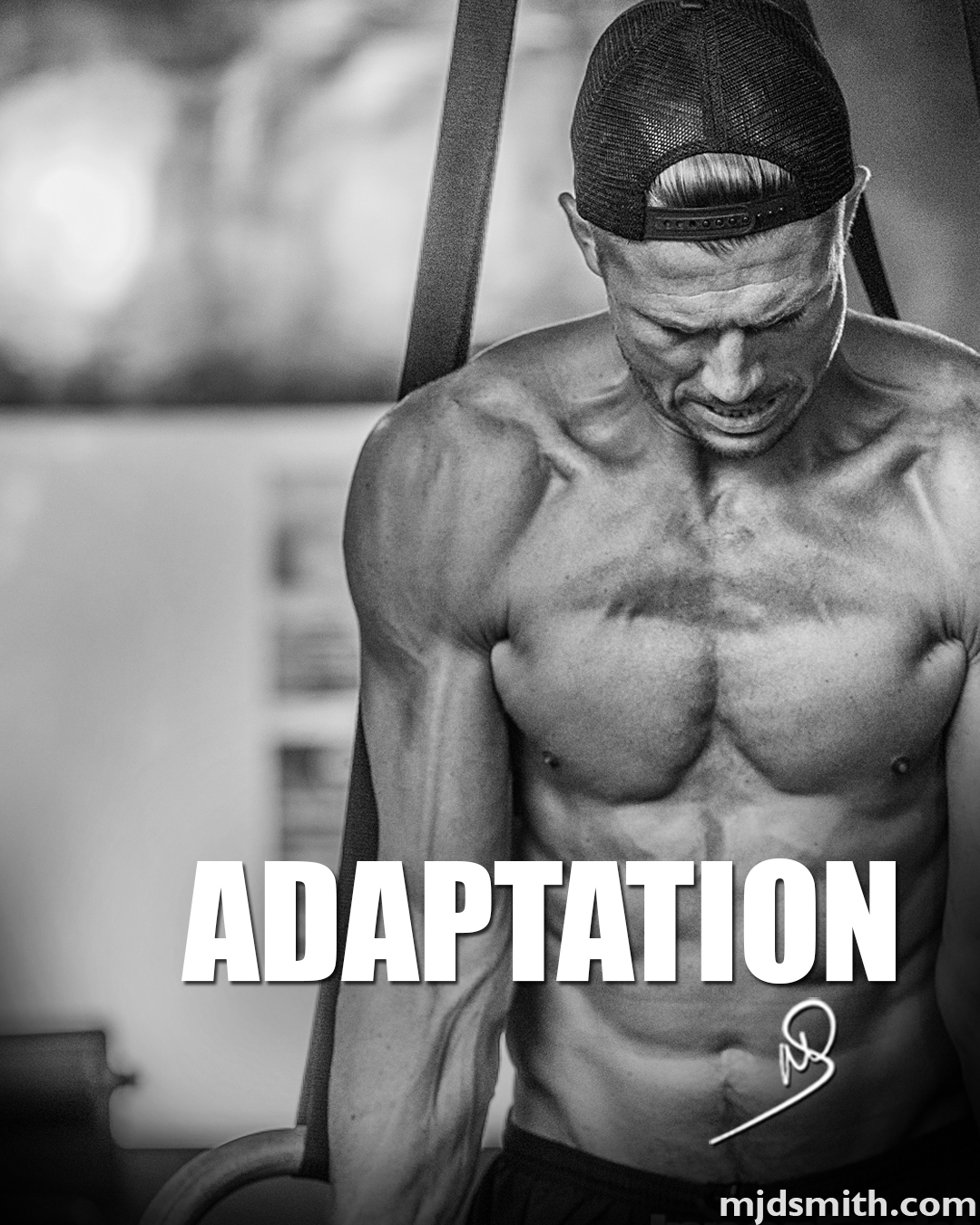 Adaptation