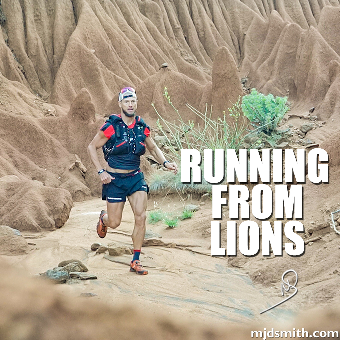 Running from Lions