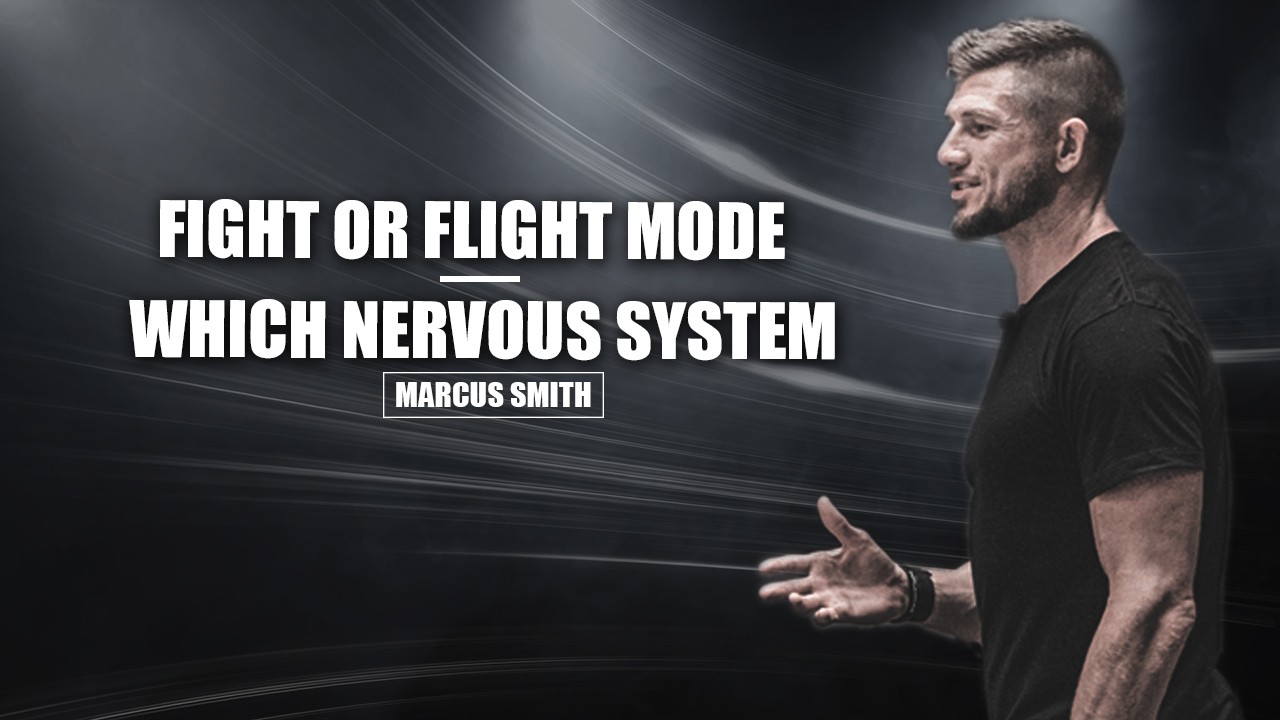 Fight or flight mode?