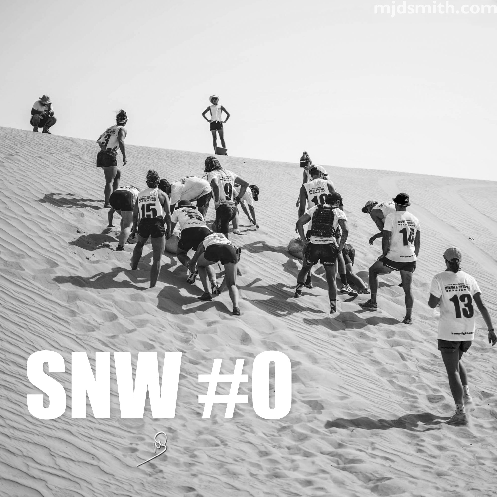 SNW #0